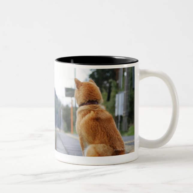 Dog sitting on train station Two-Tone coffee mug (Right)