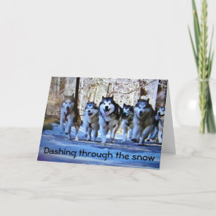 DOG SLED DASHING THRU SNOW at CHRISTMAS Holiday Card
