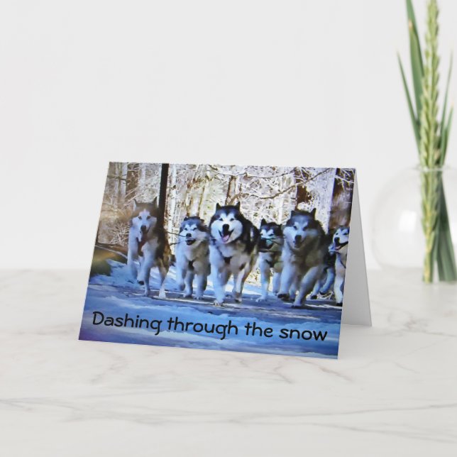 DOG SLED DASHING THRU SNOW at CHRISTMAS Holiday Card (Front)