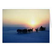 Dog sled travel at 45 degrees Celsius, Baffin Isla (Front Horizontal)