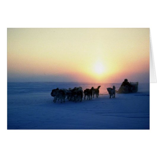 Dog sled travel at 45 degrees Celsius, Baffin Isla (Front Horizontal)