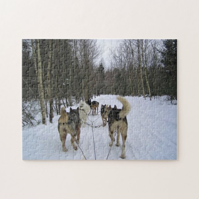 Dog Sledding in Quebec, Canada Jigsaw Puzzle (Horizontal)