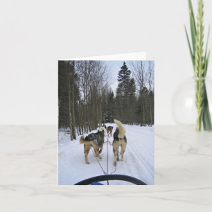Dog Sledding in Quebec, Canada Letterpress Thank You Card