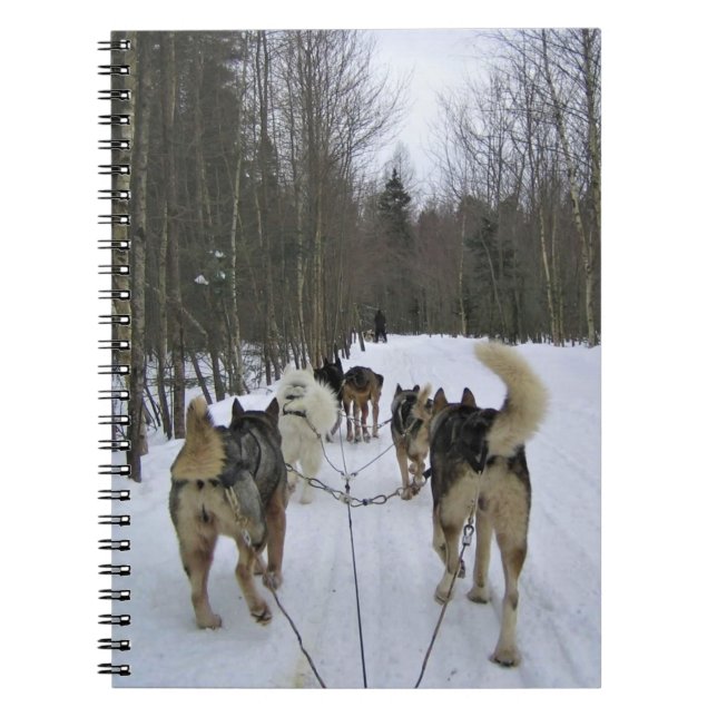 Dog Sledding in Quebec, Canada Notebook (Front)