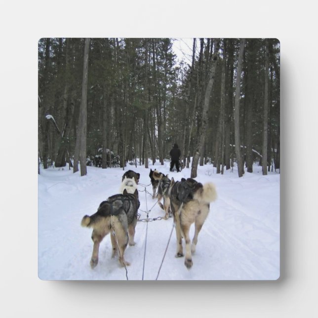 Dog Sledding in Quebec, Canada Plaque (Front)