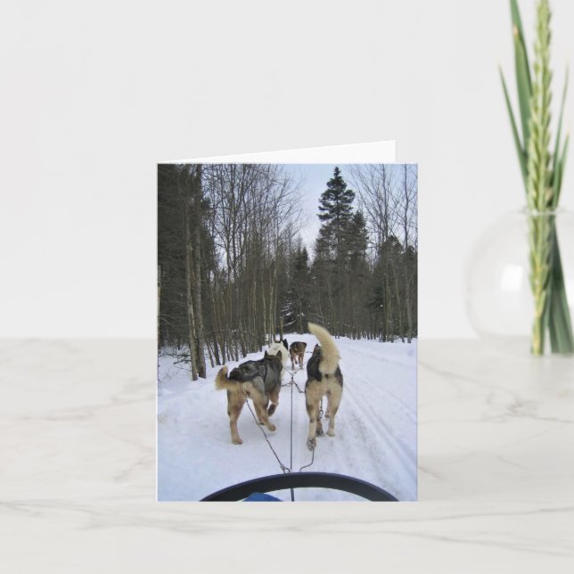 Dog Sledding in Quebec, Canada Thank You Card (Front)
