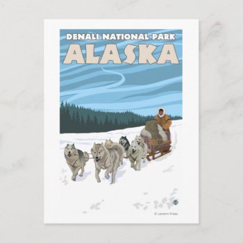 Dog Sledding Scene - Denali Nat'l Park  Alaska Postcard by LanternPress at Zazzle