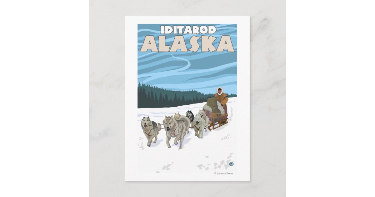 Dog Sledding Scene - Iditarod, Alaska Postcard | Zazzle