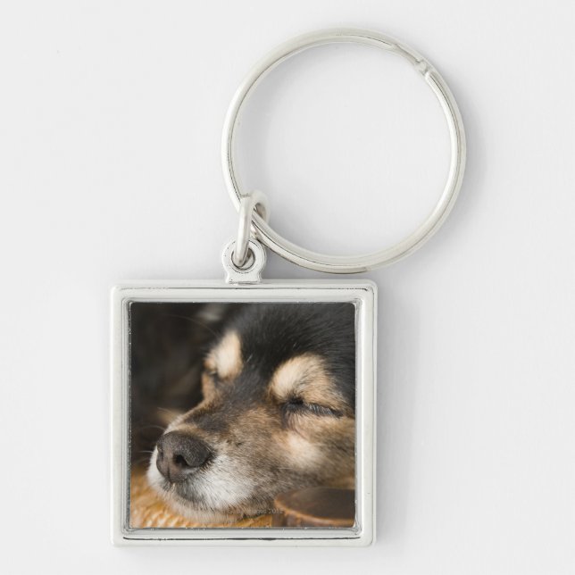 Dog sleeping 2 keychain (Front)