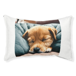 dog sleeping bed