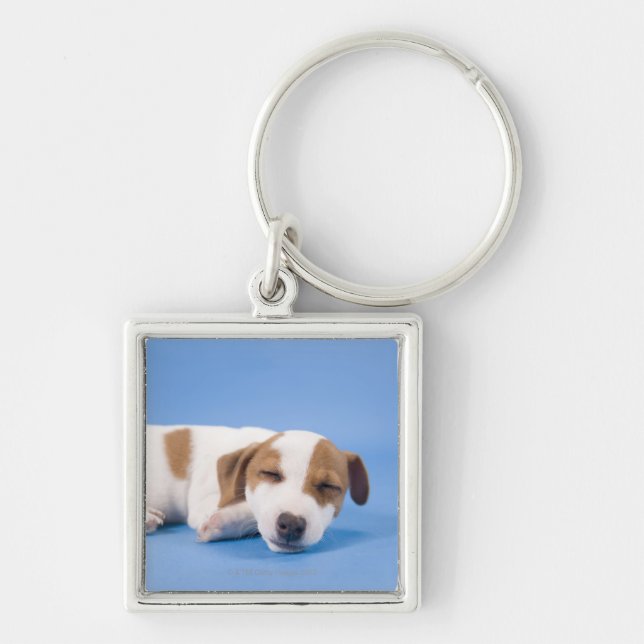 Dog sleeping keychain (Front)