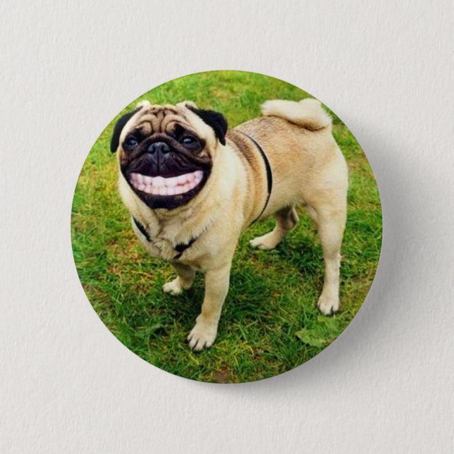 dog smile pug cute button (Front)