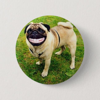 dog smile pug cute button