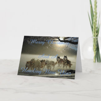 Dog snowy christmas card