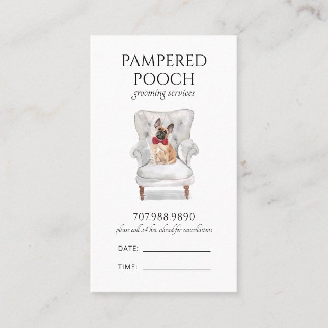 Dog Spa Groomer Pet Sitter  Appointment Card (Front)