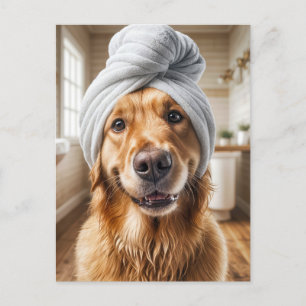 Dog Spa Grooming Postcard