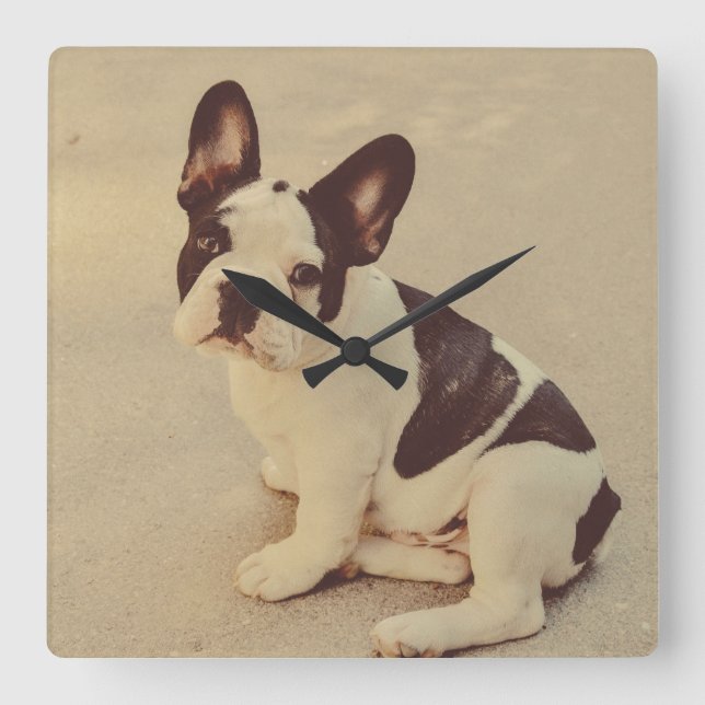 Dog Square Wall Clock (Front)