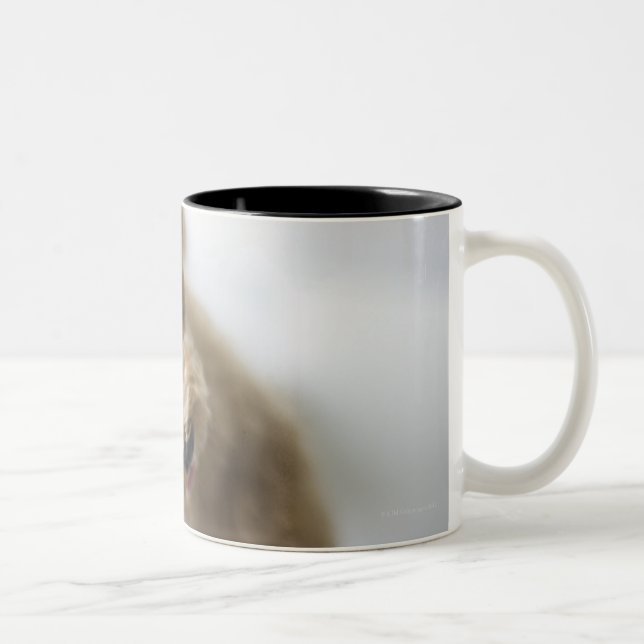 Dog standing on floor Two-Tone coffee mug (Right)