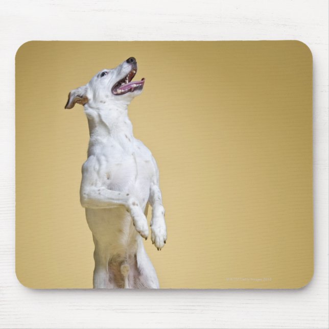 Dog standing on hind legs mouse pad (Front)