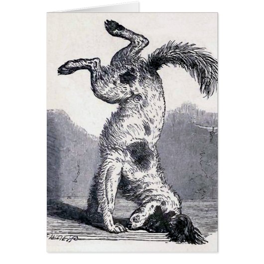 "Dog Standing on his Head" Cards (Front)