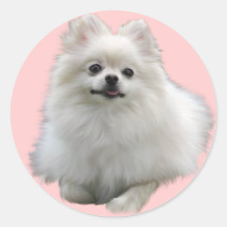 Dog Stickers Lrg
