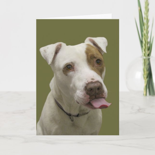 Dog Sticking Tongue Out Birthday Card (Front)