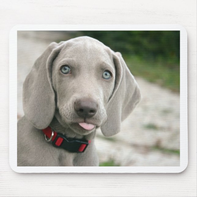 Dog sticking tongue out mouse pad (Front)