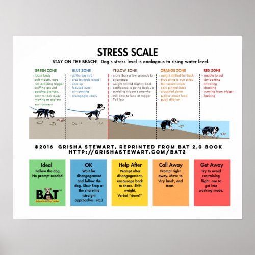 Dog Stress Scale _ AvoidanceFear Beach Analogy Poster