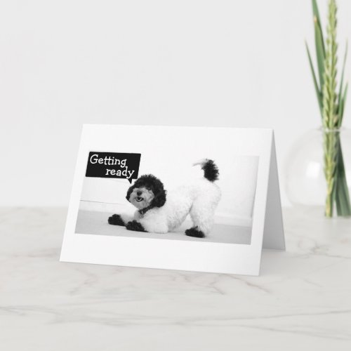 DOG STRETCHES SO HE CAN JUMP FOR JOY_BIRTHDAY CARD