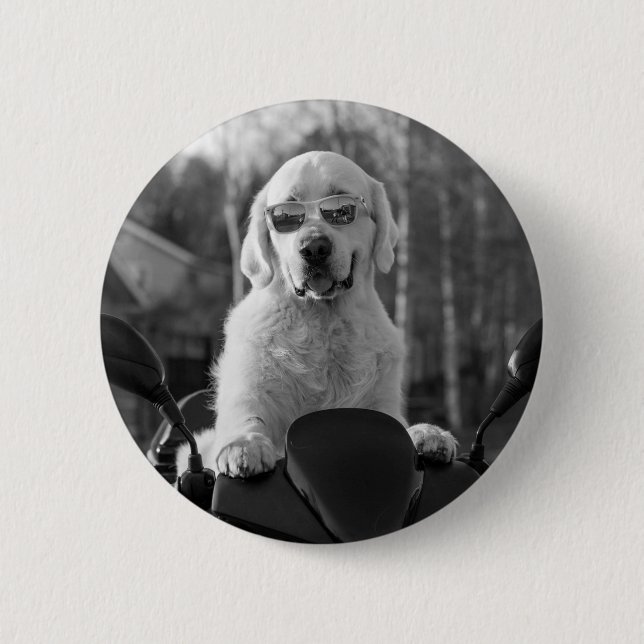 DOG STYLE BUTTON (Front)