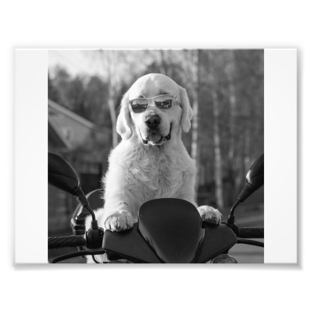 DOG STYLE PHOTO PRINT (Front)