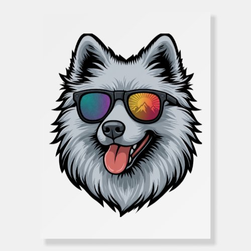 Dog Sunglasses Mountain Sunset Reflection Foam Board