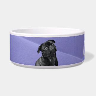 Dog Supplies Bowl