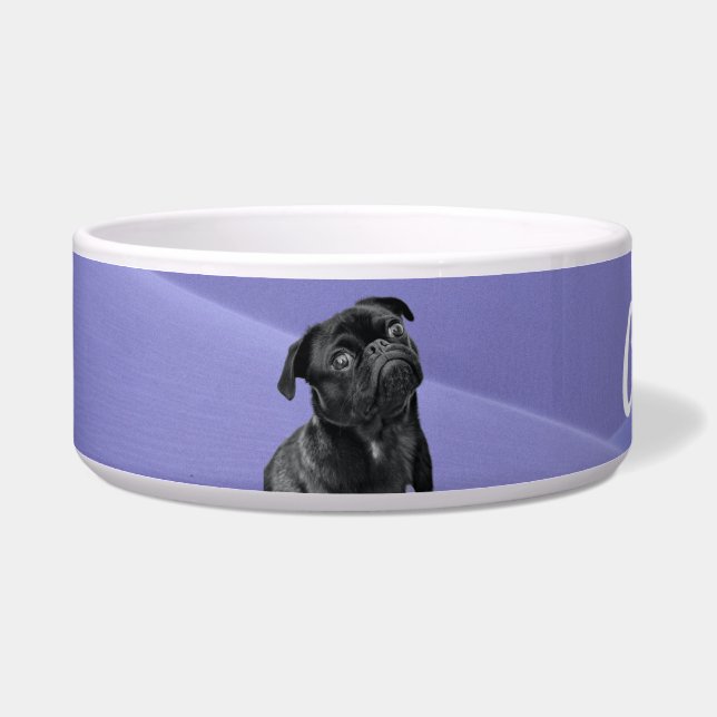 Dog Supplies Bowl (Left)