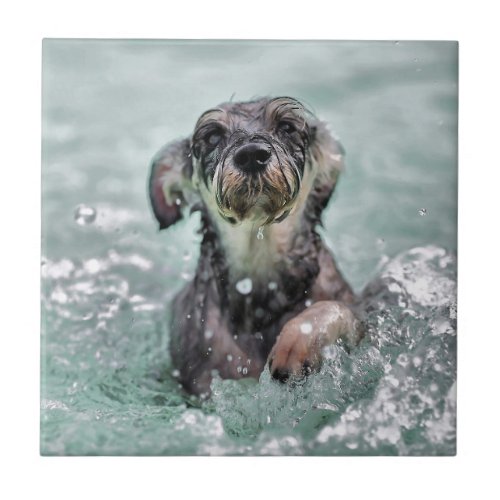 Dog Swimming Doggy Paddle Tile