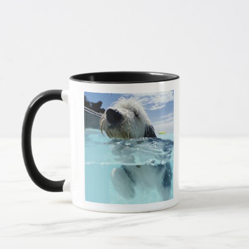 Dog Swimming in a Swimming Pool Mug