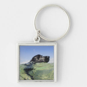 Dog swimming in water keychain