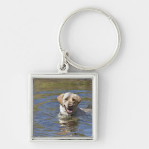 Dog swimming keychain