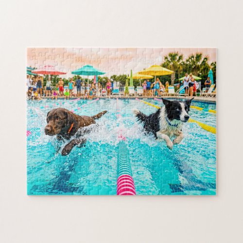 Dog swimming race jigsaw puzzle