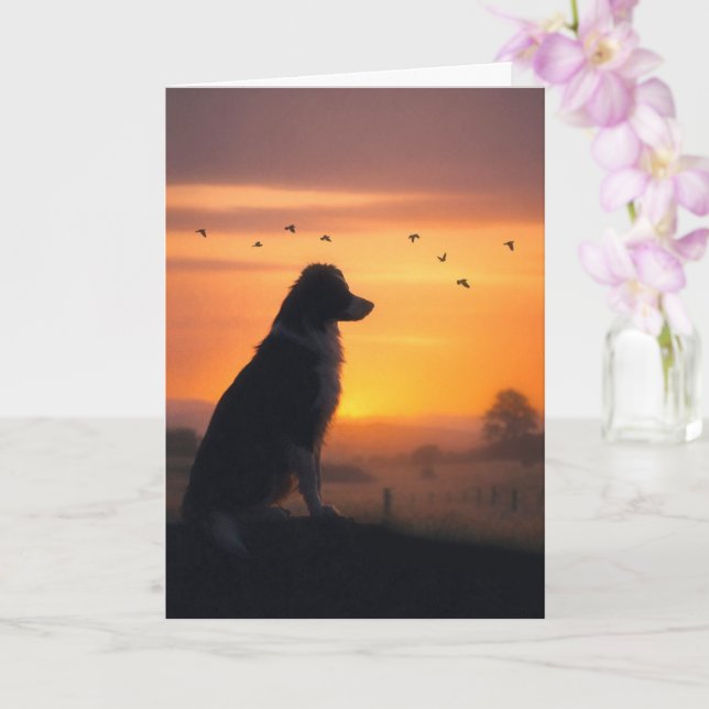 Dog Sympathy Border Collie in Sunset Condolences Card (Orchid)