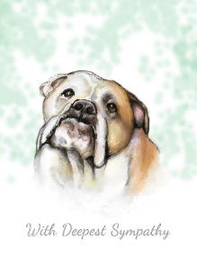 pet sympathy cards zazzle