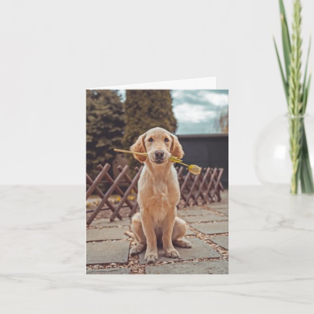 Dog Sympathy Card (Front)