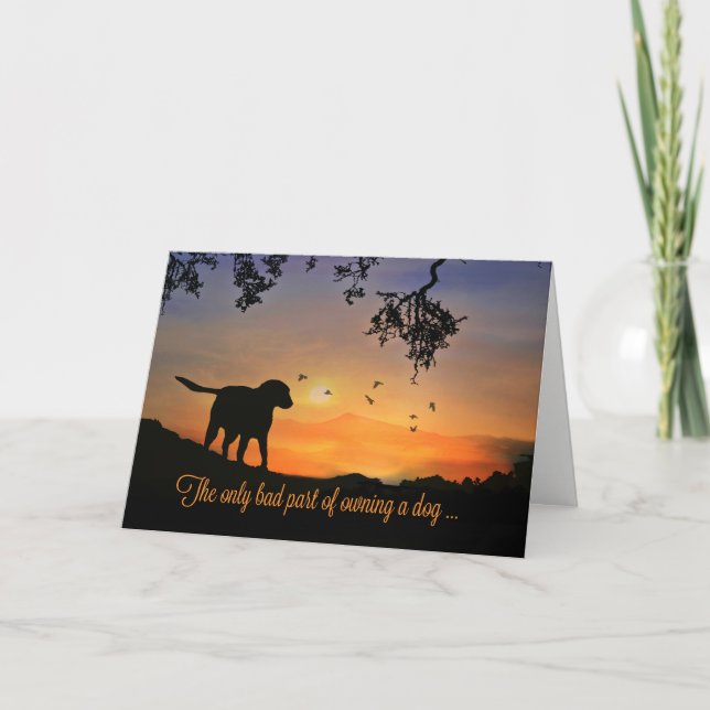 Dog Sympathy Card, Condolences for Loss of Dog Card (Front)