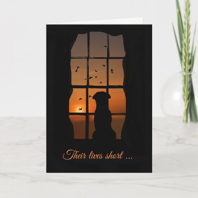 Dog Sympathy, Loss of Dog Memorial Sympathy Card (Front)