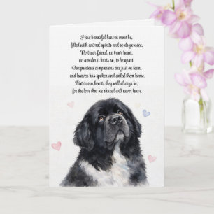 Dog Sympathy Newfoundland Newfie Condolences Card