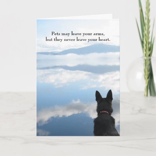 Dog Sympathy _ Pets May Leave Your Arms Card