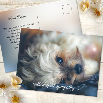 Dog Sympathy Postcard by sunnysites at Zazzle