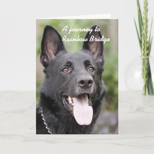 Dog sympathy _ Rainbow Bridge Card