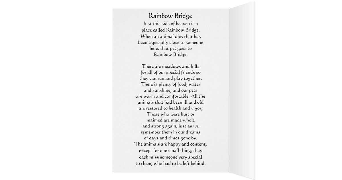 dog sympathy rainbow bridge poem card zazzle