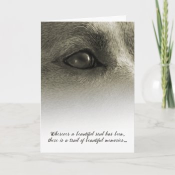 Dog Sympathy Wherever A Beautiful Soul Has Been Card by juliea2010 at Zazzle
